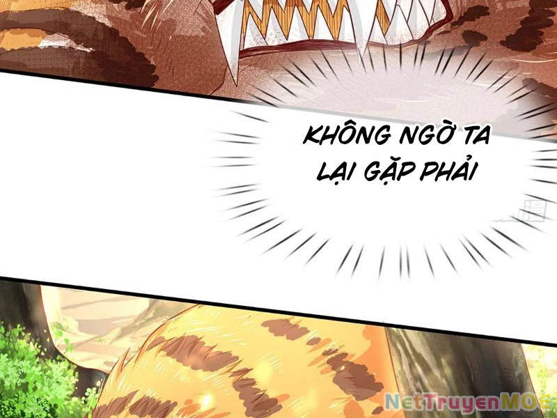 Khắc Đan Tu Tiên Cầu Trường Sinh Chapter 19 - 19