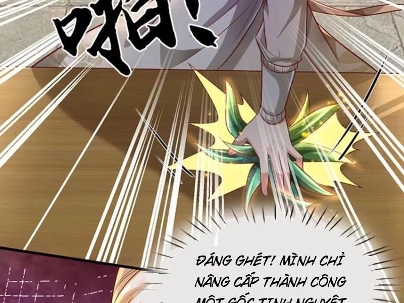 Khắc Đan Tu Tiên Cầu Trường Sinh Chapter 25 - 14