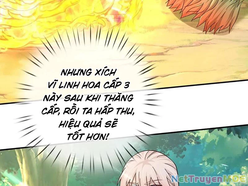Khắc Đan Tu Tiên Cầu Trường Sinh Chapter 62 - 56