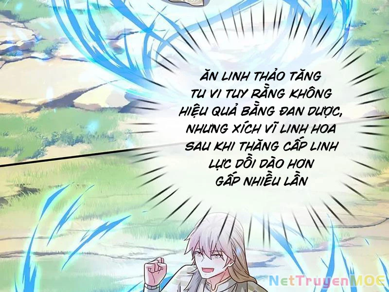Khắc Đan Tu Tiên Cầu Trường Sinh Chapter 62 - 70