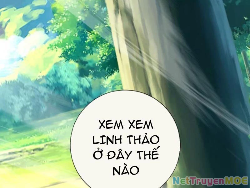 Khắc Đan Tu Tiên Cầu Trường Sinh Chapter 68 - 24
