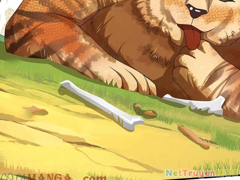 Khắc Đan Tu Tiên Cầu Trường Sinh Chapter 70 - 13