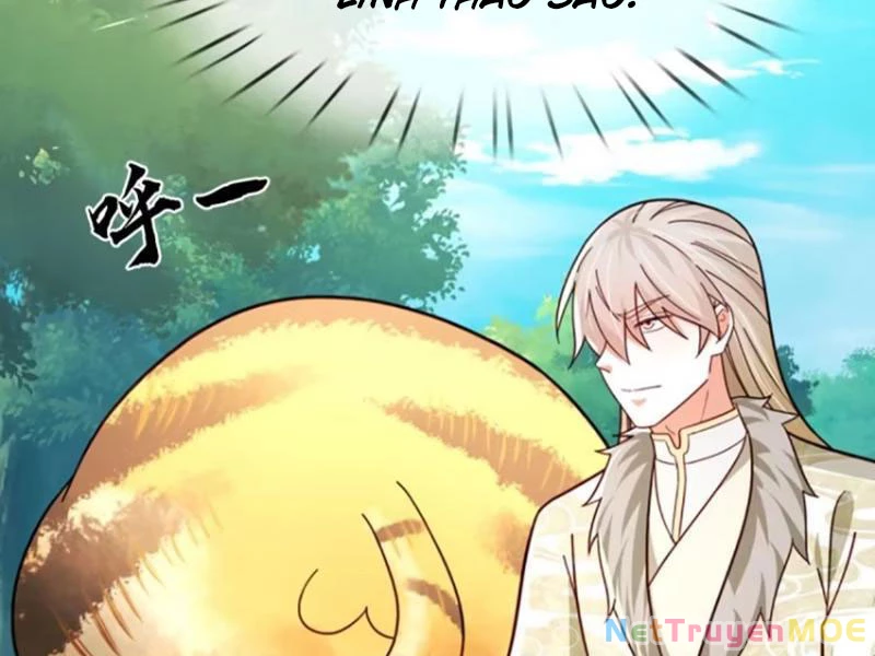 Khắc Đan Tu Tiên Cầu Trường Sinh Chapter 72 - 72