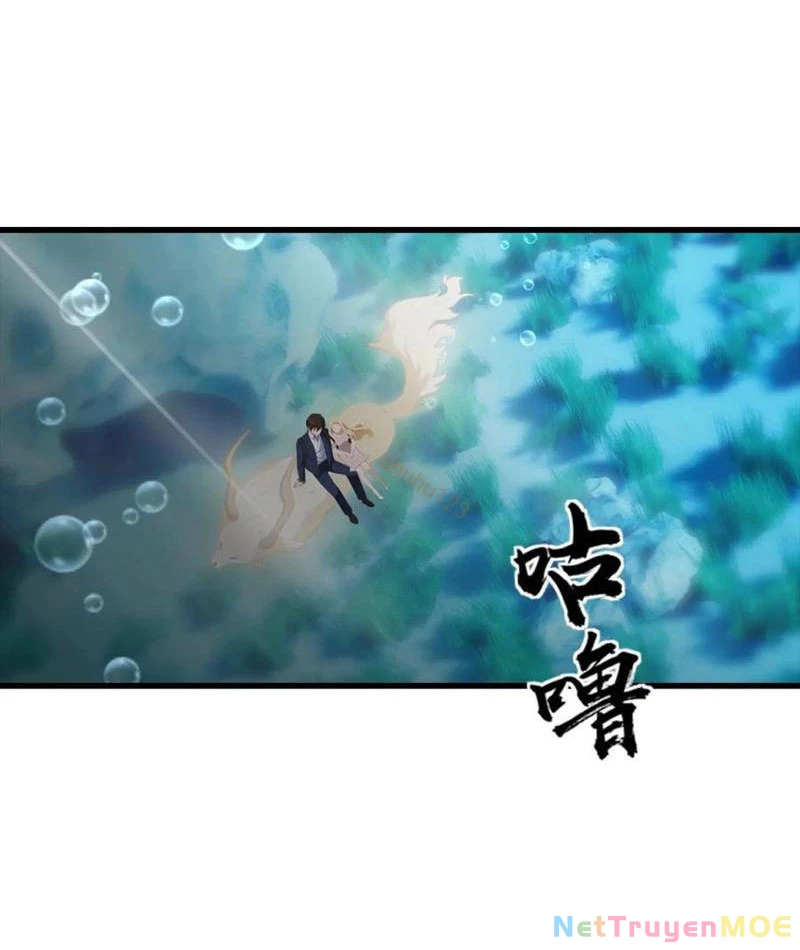 Đô Thị Thánh Thủ: Ta Là Y Võ Đỉnh Phong Chapter 116 - Trang 2