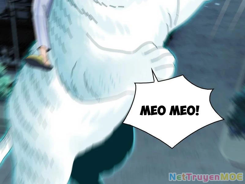 Trước mặt bệnh tâm thần, quỷ dị chẳng là gì cả Chapter 42 - 97