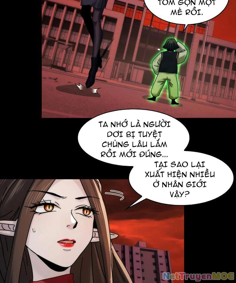 Trước mặt bệnh tâm thần, quỷ dị chẳng là gì cả Chapter 87 - 12