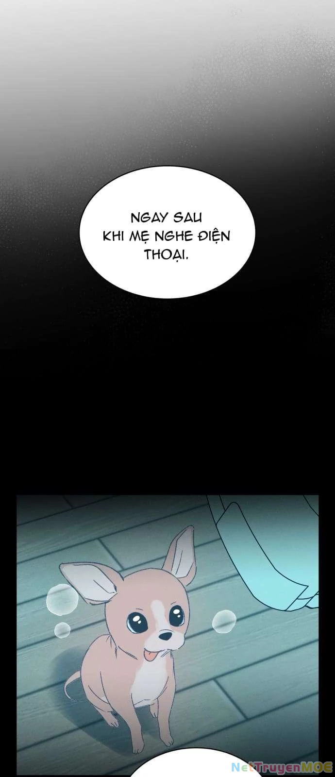 Bầu Trời Mùa Hạ Dấu Yêu Chapter 35 - 59
