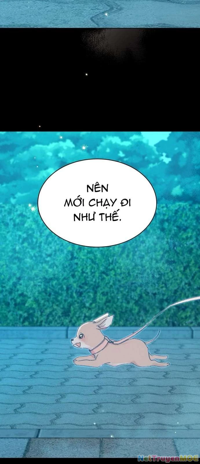 Bầu Trời Mùa Hạ Dấu Yêu Chapter 35 - 64