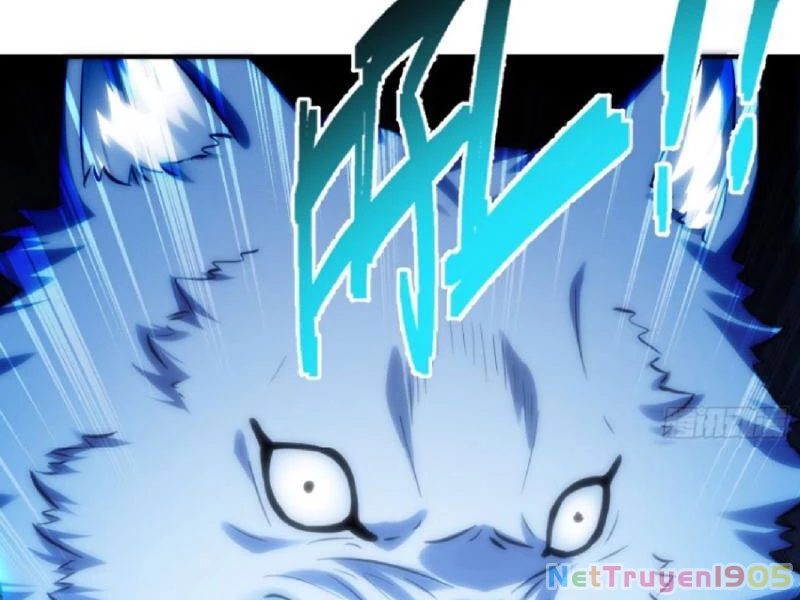 Bỏ Làm Simp Chúa, Ta Có Trong Tay Cả Tỉ Thần Hào! Chapter 188 - 63