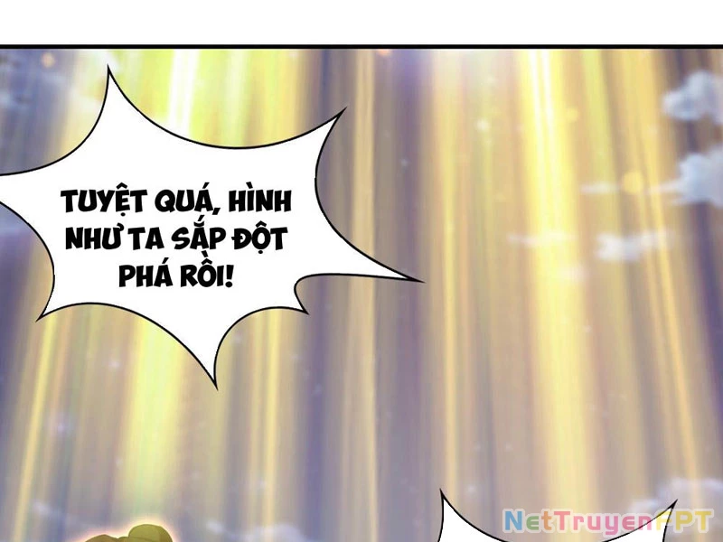 Hoá Ra Ta Đã Vô Địch Từ Lâu Chapter 270 - 59