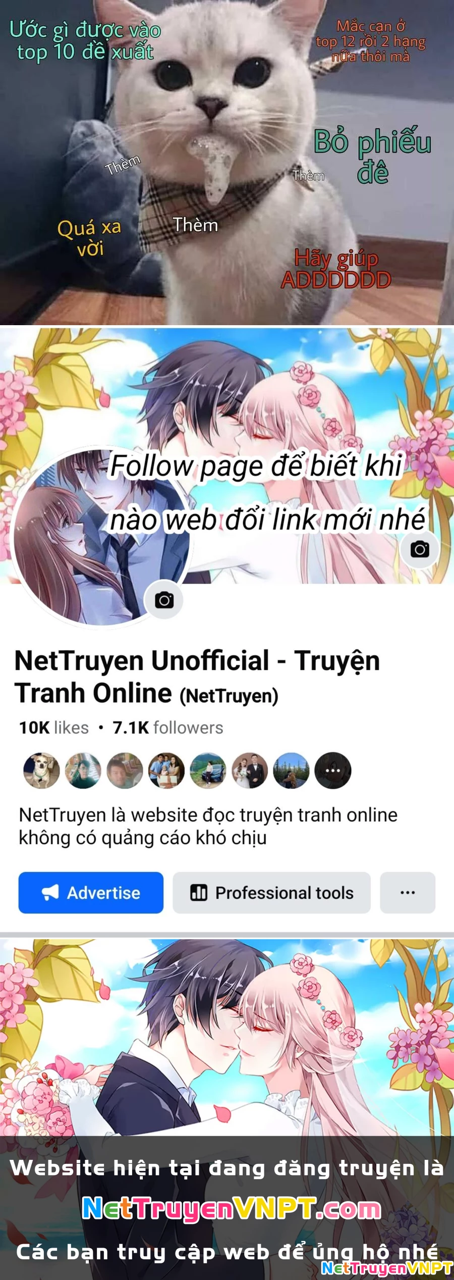 Lão Đại Xuyên Không Thành Tiên Nữ Chapter 22.1 - 17