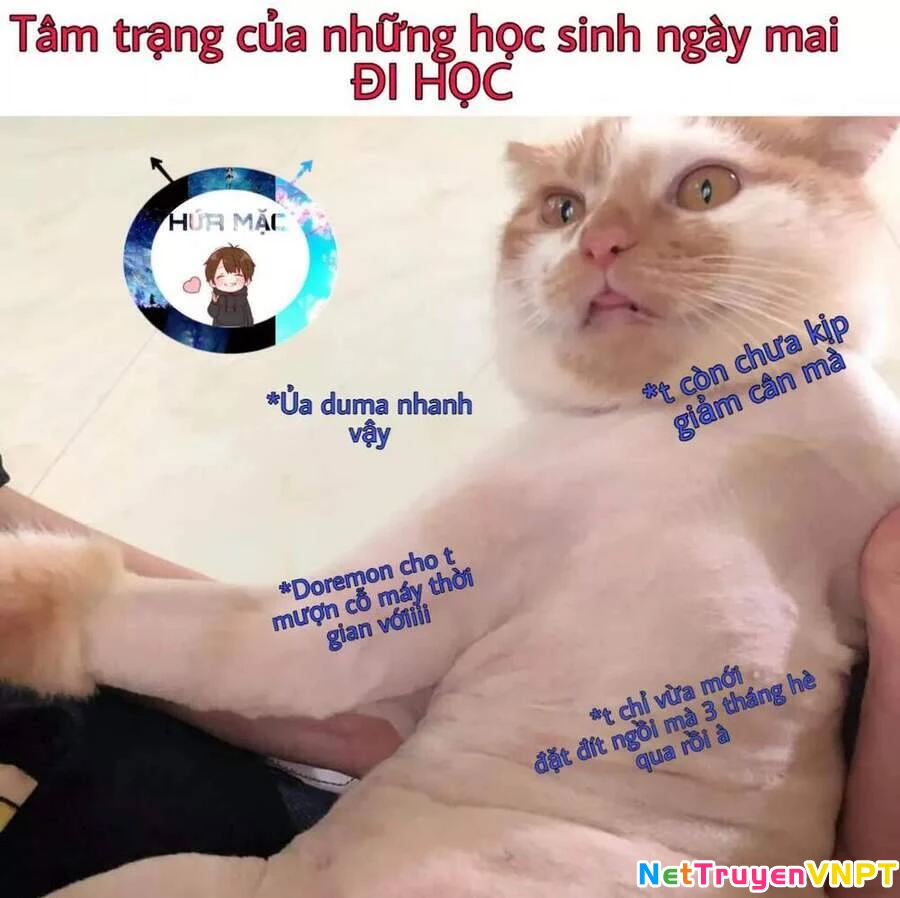Lão Đại Xuyên Không Thành Tiên Nữ Chapter 33.1 - 25