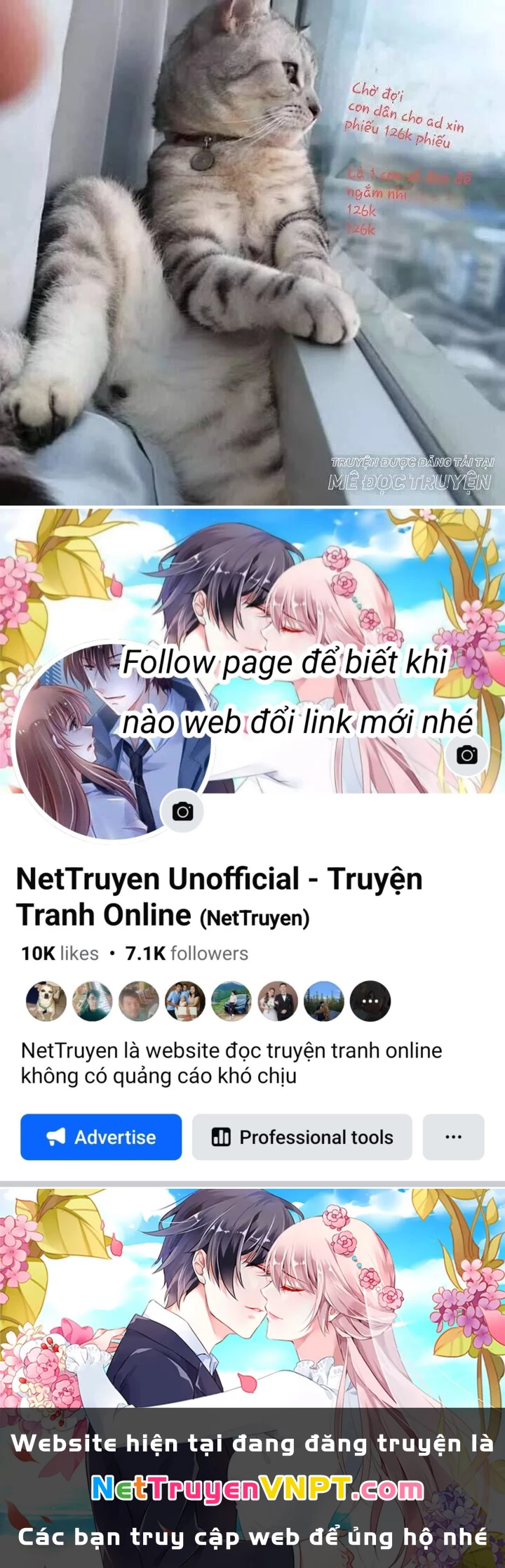 Lão Đại Xuyên Không Thành Tiên Nữ Chapter 33.1 - 26