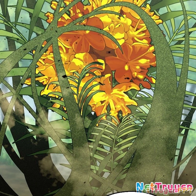 Trở Thành Thiên Tài Tốc Biến Của Học Viện Ma Pháp Chapter 49 - Trang 2
