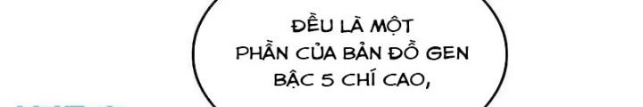 Bắt Đầu Từ Cửu Đầu Điểu Chapter 287 - Trang 2