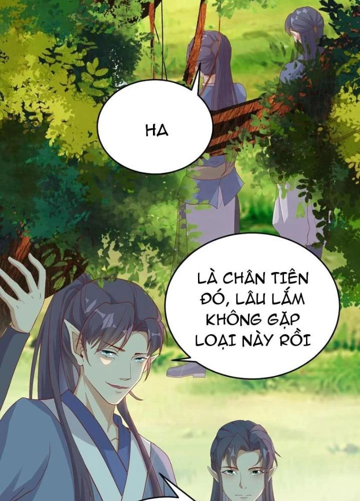 Tu Tiên Phải Dựa Vào Sugar Mommy Chapter 242 - 3