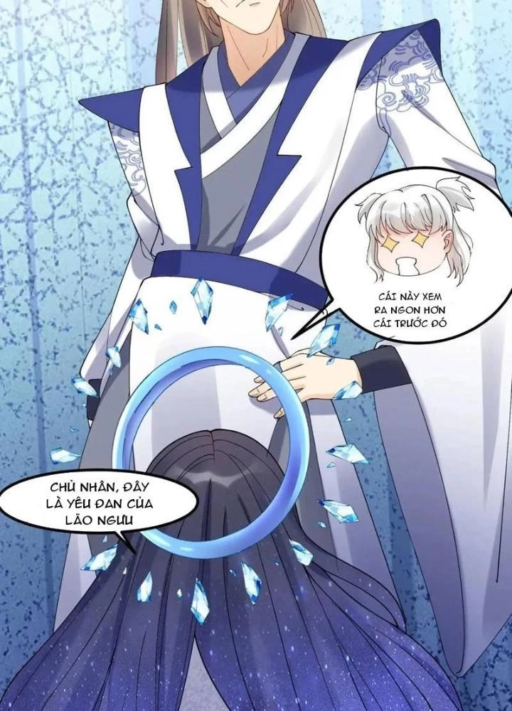 Tu Tiên Phải Dựa Vào Sugar Mommy Chapter 245 - 15