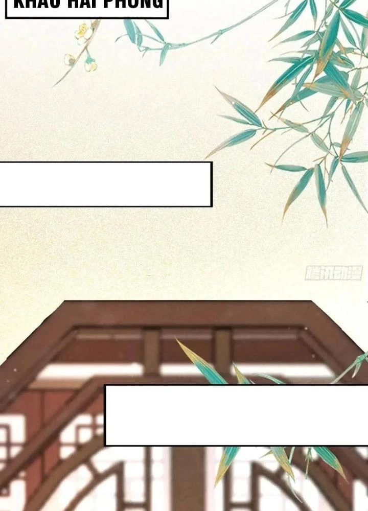 Tu Tiên Phải Dựa Vào Sugar Mommy Chapter 247 - 5