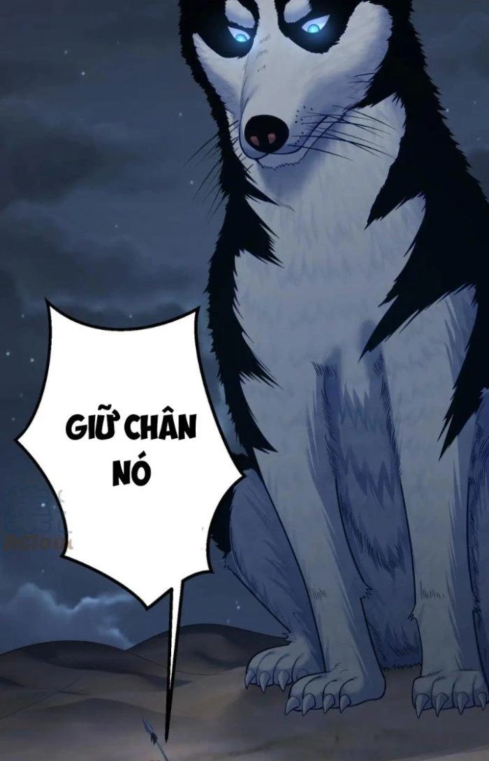 Tiên Giới Đệ Nhất Nội Ứng Chapter 36 - 6