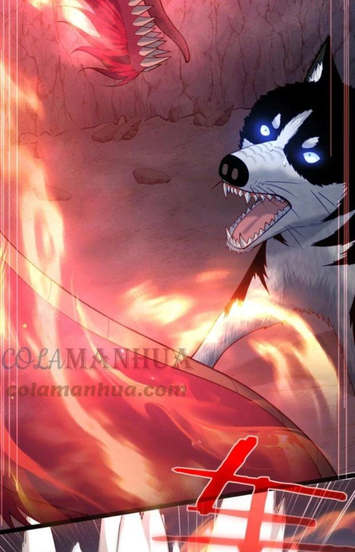 Tiên Giới Đệ Nhất Nội Ứng Chapter 38 - 46