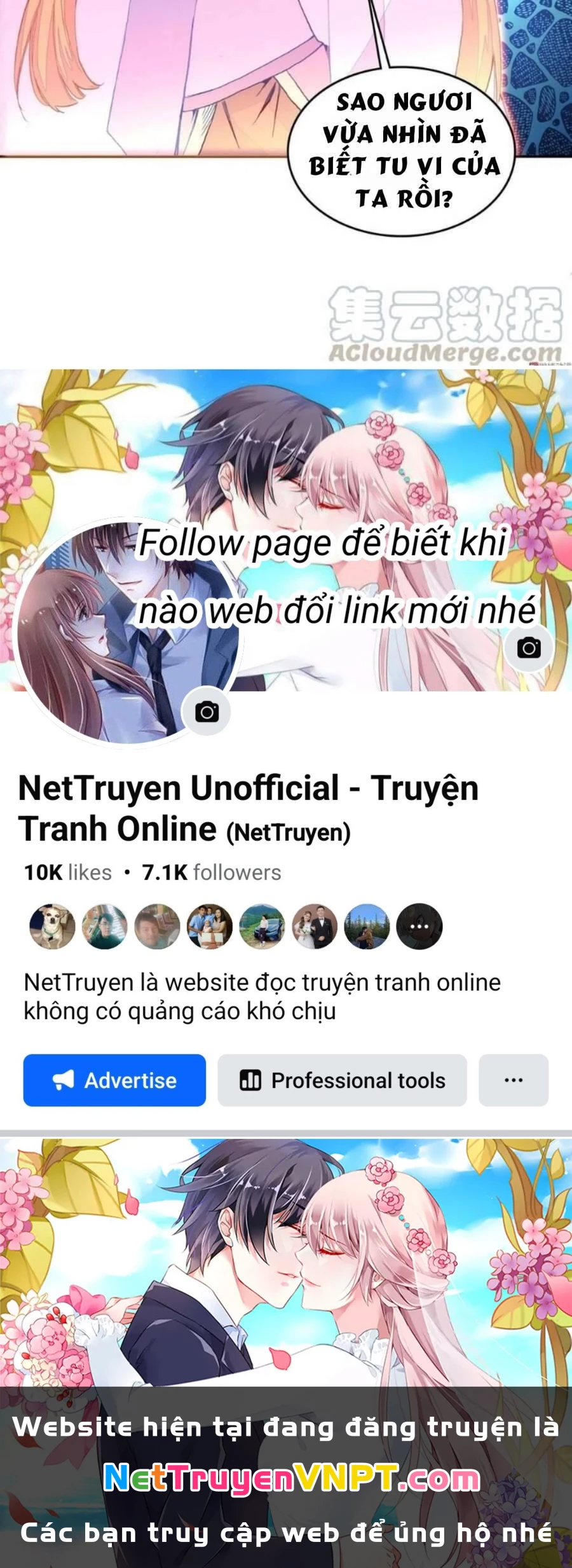 Lão Đại Xuyên Không Thành Tiên Nữ Chapter 74 - 40