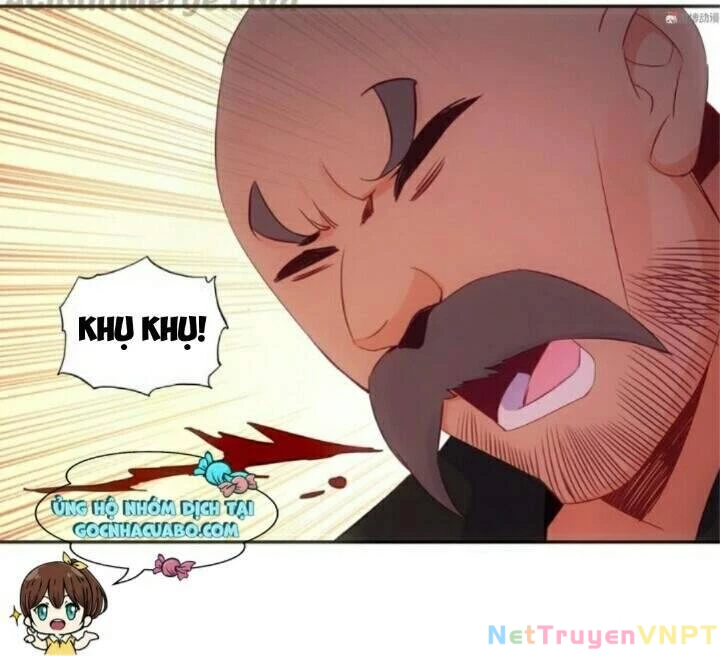 Lão Đại Xuyên Không Thành Tiên Nữ Chapter 84 - 19