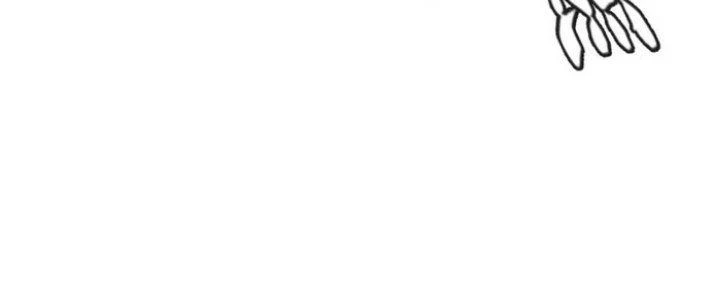 Văn Âm Sư Chapter 205 - 88