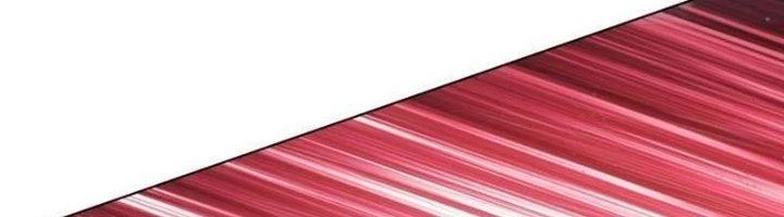 Ta Cày Level Từ Trong Gương Chapter 43 - 14