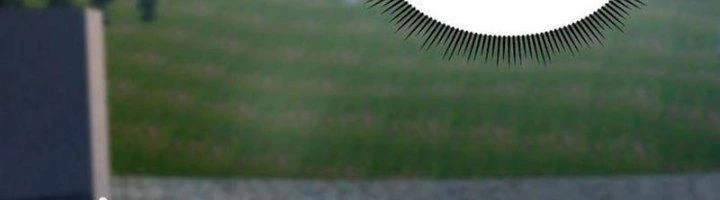 Ta Cày Level Từ Trong Gương Chapter 54 - 359