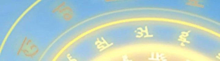 Ta Cày Level Từ Trong Gương Chapter 56 - 339