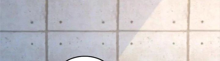 Ta Cày Level Từ Trong Gương Chapter 65 - 161