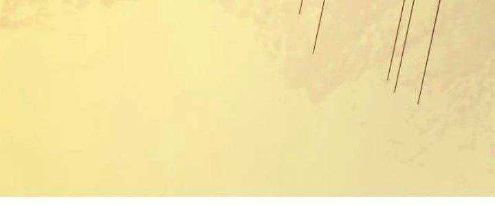 Pubg Luck Rookie Chapter 10 - 459