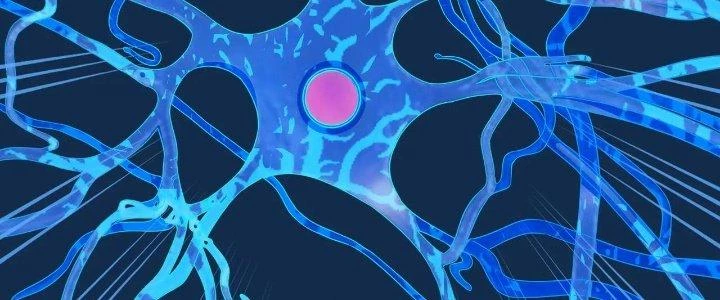 Pubg Luck Rookie Chapter 17 - 274