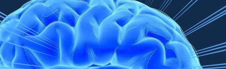 Pubg Luck Rookie Chapter 17 - 277