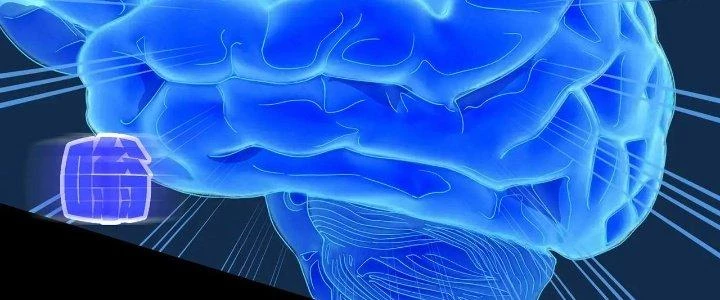 Pubg Luck Rookie Chapter 17 - 278