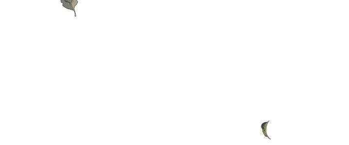 Pubg Luck Rookie Chapter 17 - 327