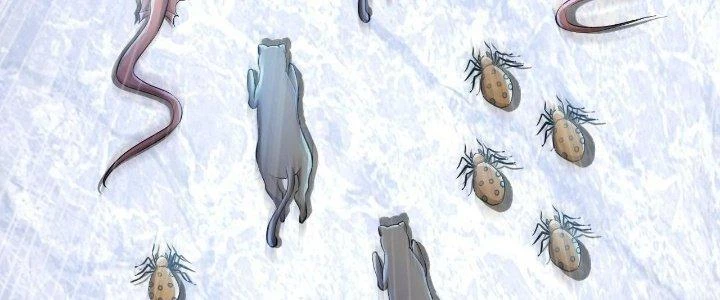 Thẻ Bài Của Tôi Có Thể Hợp Thành Vô Hạn Chapter 6 - 216