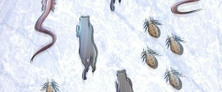 Thẻ Bài Của Tôi Có Thể Hợp Thành Vô Hạn Chapter 7 - 8