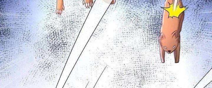 Thẻ Bài Của Tôi Có Thể Hợp Thành Vô Hạn Chapter 10 - 167