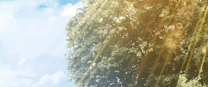 Thẻ Bài Của Tôi Có Thể Hợp Thành Vô Hạn Chapter 12 - 52