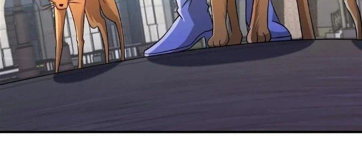 Thẻ Bài Của Tôi Có Thể Hợp Thành Vô Hạn Chapter 12 - 236