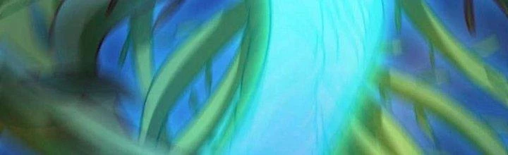 Thần Lan Kỳ Vực Vô Song Châu Chapter 10 - 13