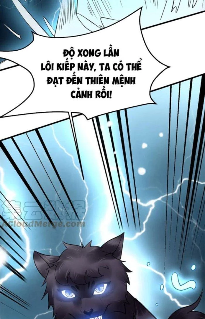 Sư Tổ Của Ta Là Thiên Hạ Đệ Nhất Chapter 40 - 70