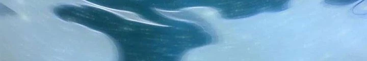 Ta Có Thể Rút Ra Thuộc Tính Chapter 83 - 205