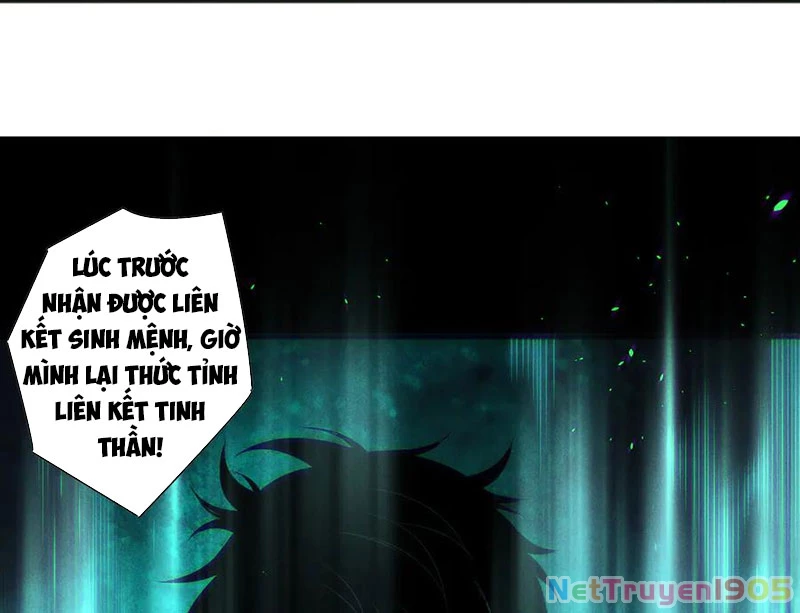 Thảm Họa Tử Linh Sư Chapter 165 - 129
