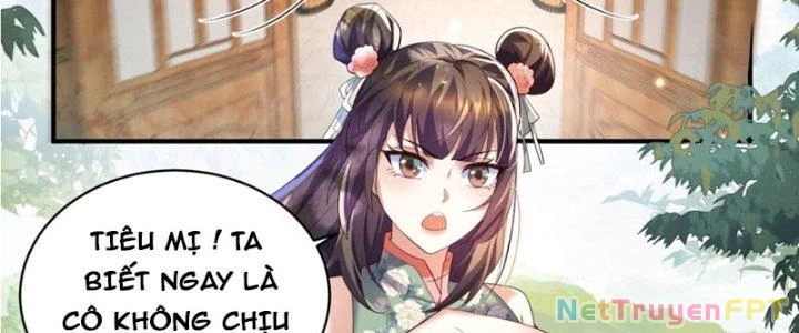 Trong Tông Môn Ngoại Trừ Ta Ra Đều Là Gián Điệp Chapter 15 - 70