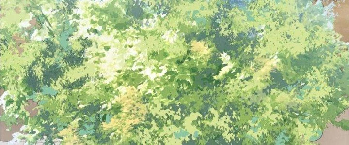 Trong Tông Môn Ngoại Trừ Ta Ra Đều Là Gián Điệp Chapter 15 - 132