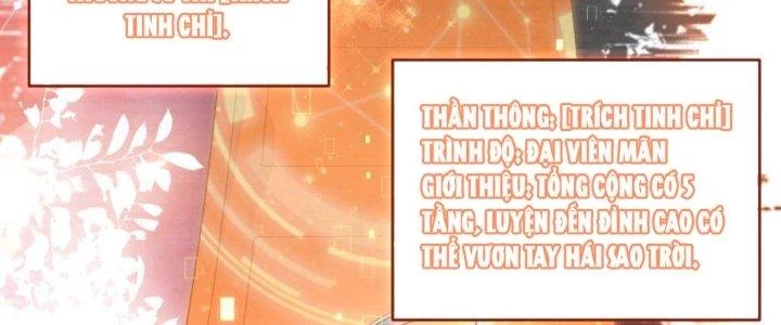 Trong Tông Môn Ngoại Trừ Ta Ra Đều Là Gián Điệp Chapter 24 - 19