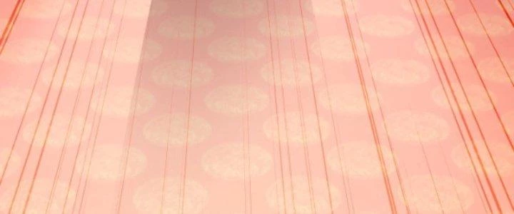 Ta Bất Tử, Coi Tự Bạo Là Công Kích Bình Thường Chapter 5 - 12