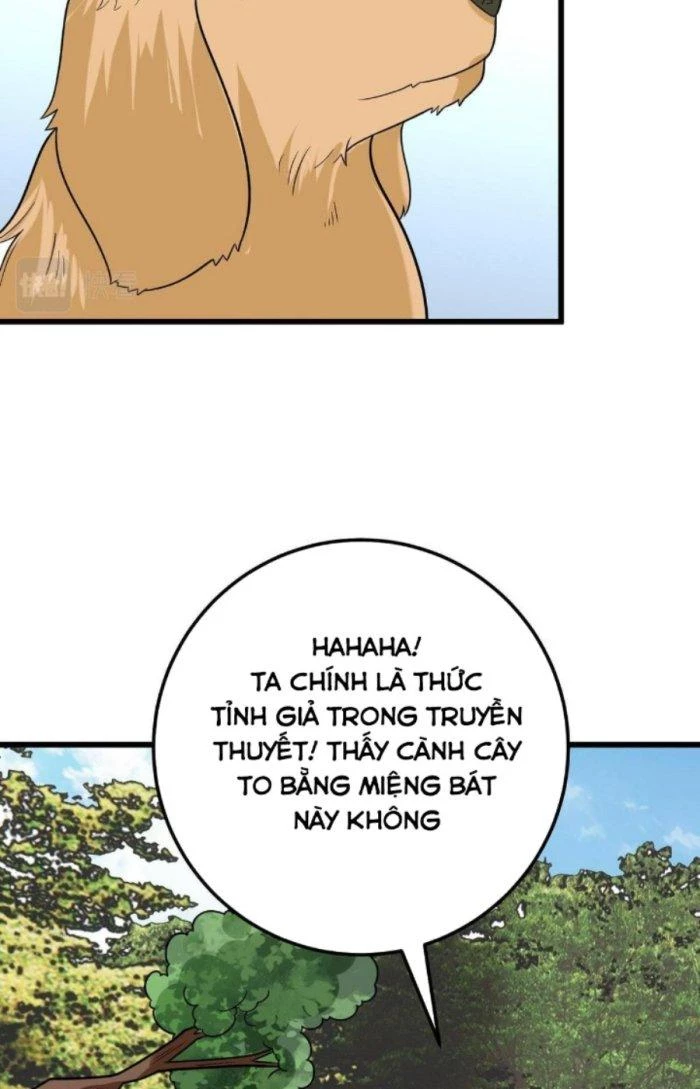 Linh Khí Bạo Phát, Ta Vô Tình Thức Tỉnh Thành Thần Chapter 6 - 33